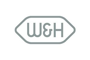 W&H Electric Attachment Bearings